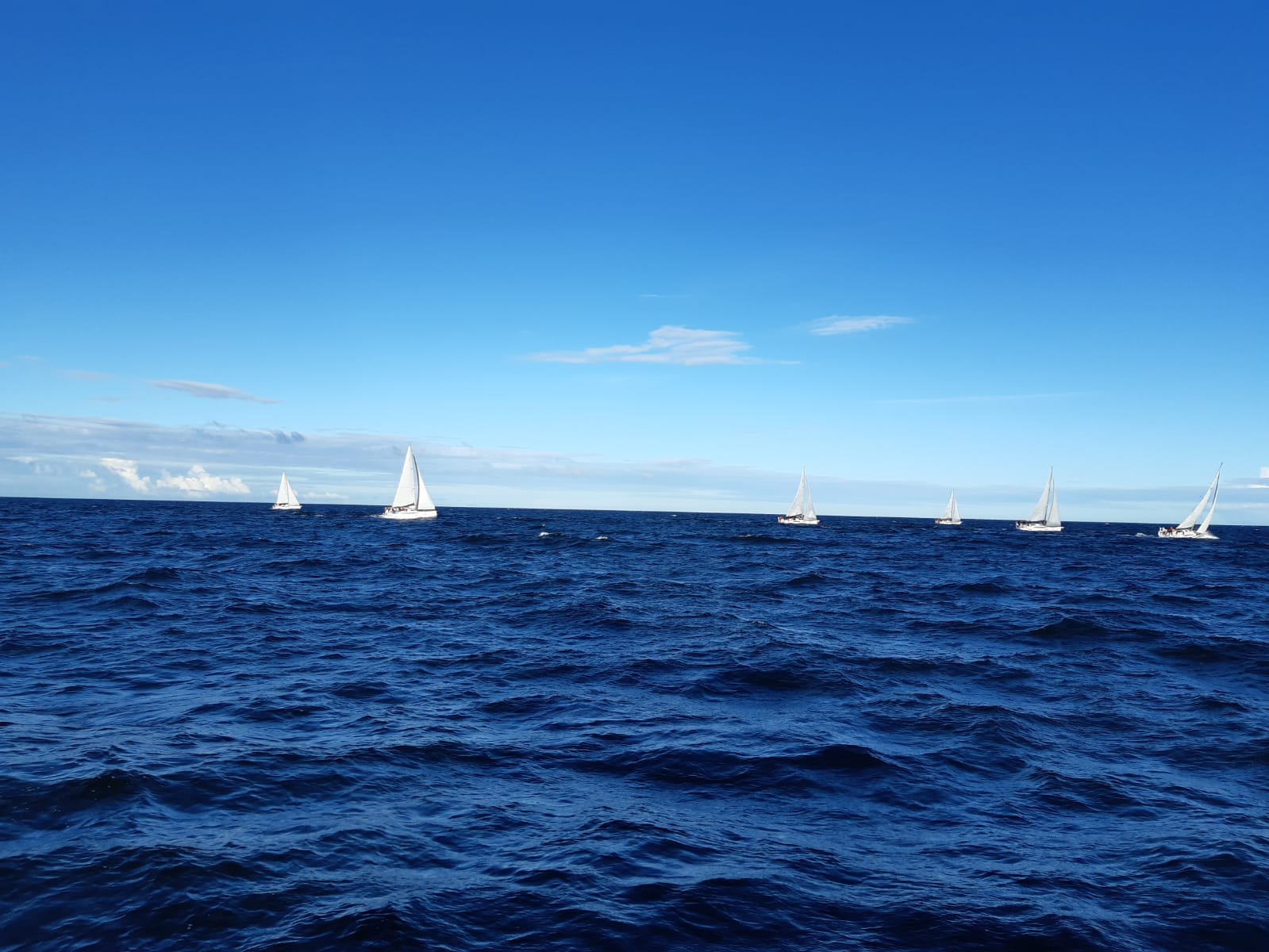 The CANY Offshore Cup 2022 has already started!