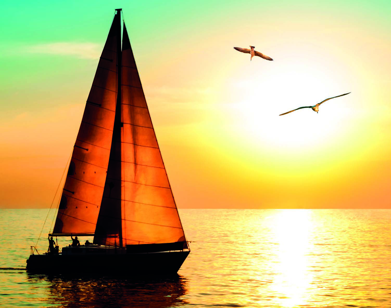 Cruising yachts